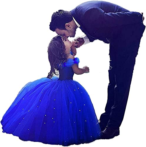 HIPPIL Flower Girls Dresses Cinderella Princess Pageant Ball Gowns Kids Costume 2-67-14 Years Old Blue 6 Years